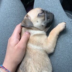 Meet your Posher, Amberlee